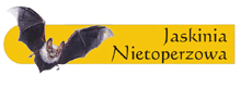 Jaskinia Nietoperzowa